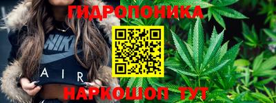 Альфа ПВП Вязьма