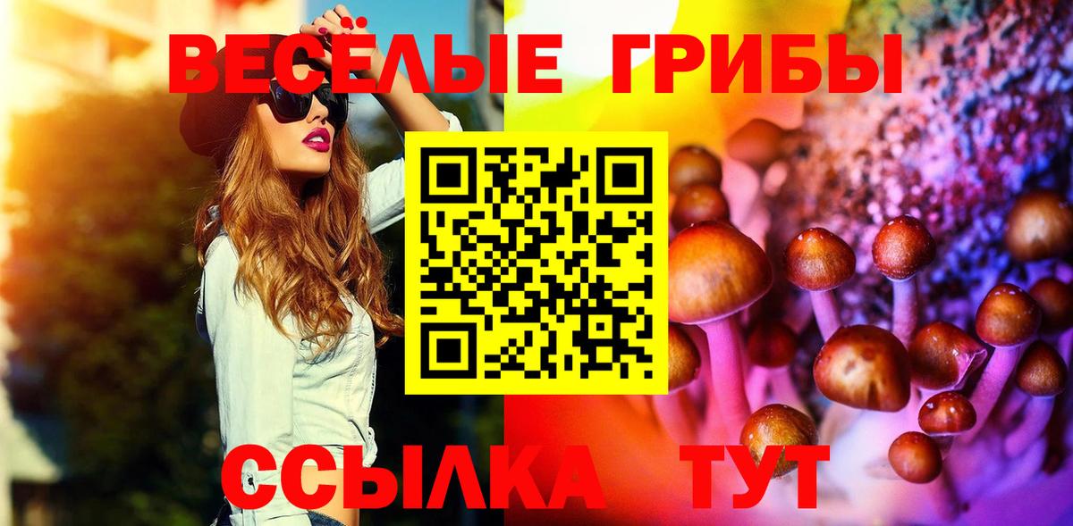 Псилоцибиновые грибы мицелий  Вход с VPN  продажа наркотиков  Псилоцибиновые грибы Psilocybe  Фурманов 