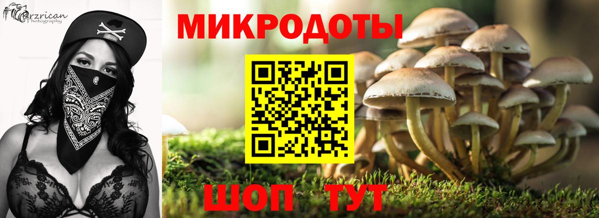 Галлюциногенные грибы мицелий Фурманов